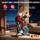 Stationary Exercise Bike C1